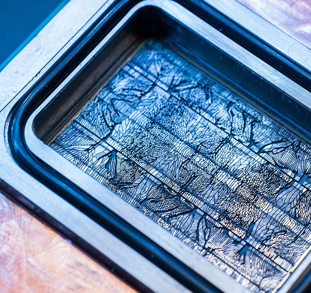 Microsoft и Corintis представили био-вдохновленное микрофлюидное охлаждение чипов